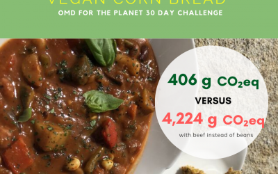 Day 7 of Oprah’s OMD for the Planet 30 day challenge–Veggie Chili