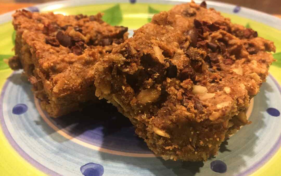 Chocolate-Chip-Protein-Bars_Meals-4-Planet