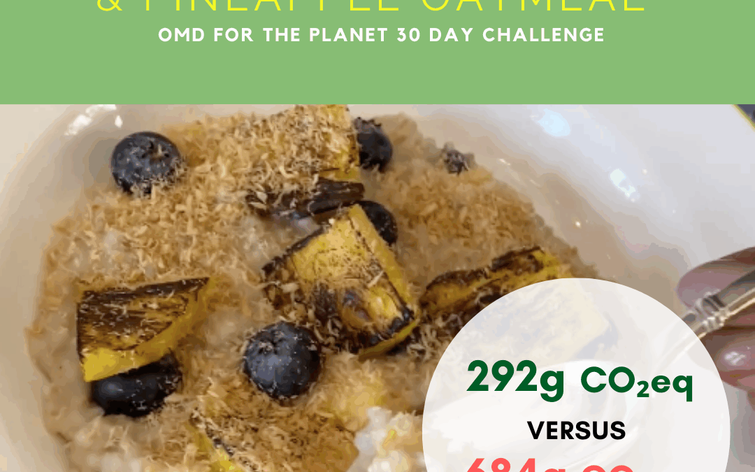 OMD6_Oatmeal