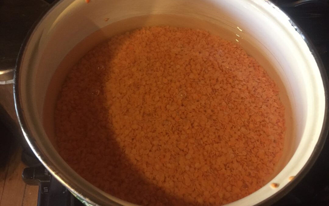 dahl_pot_meals4planet